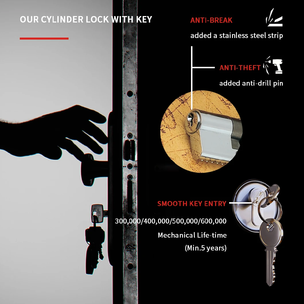 Anti-Break ISO9001 Polished Brass Modern Euro Door Cylinder Locks for Garage Door