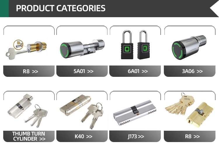 Jixin (5C01) Safety Door Handle Password Keyless Fingerprint Electronic Cylinder Lock