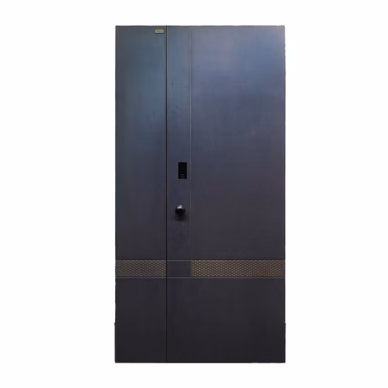 Serrure de porte de garage 556 Iron Dead Lock 9001 avec clés